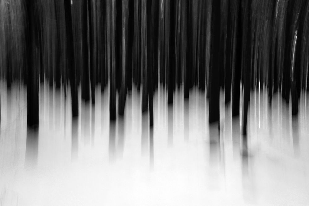 Фотография автора senjor