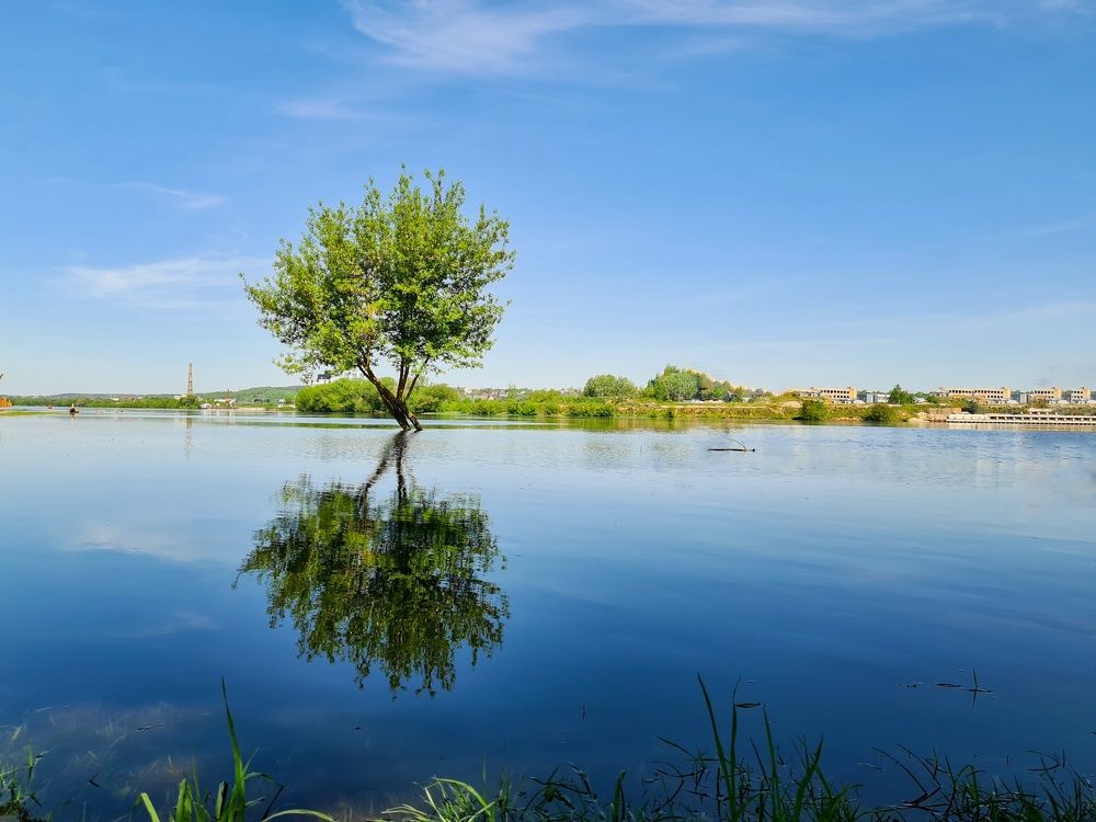 Photograph by Татьяна Соколовская