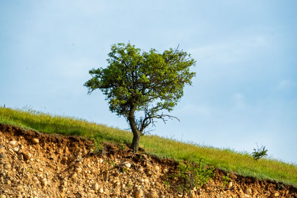 Photograph by Колев Христо