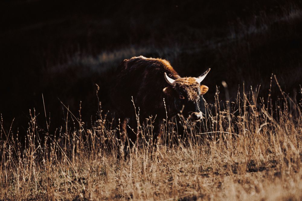 Photograph by ЕВГЕНИЙ РУДЕНКО
