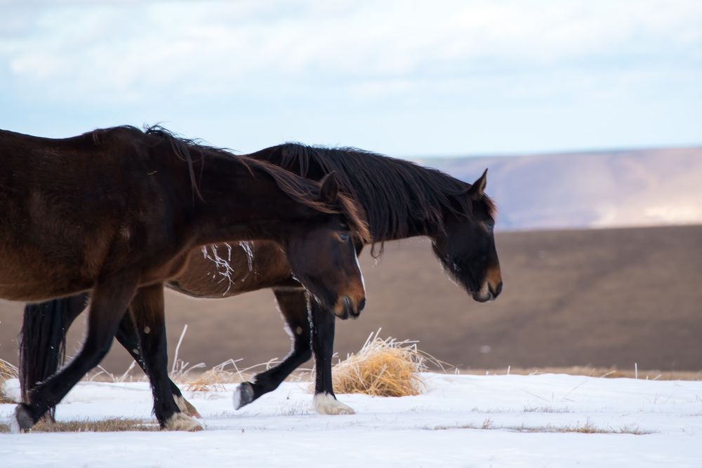 Photograph by ЕВГЕНИЙ РУДЕНКО