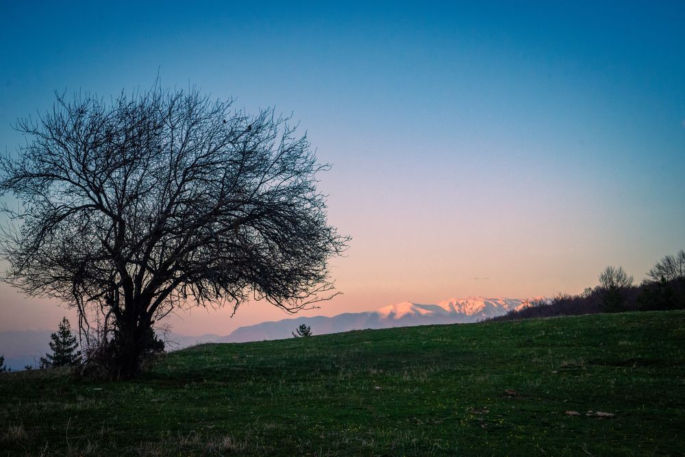 Photograph by Колев Христо