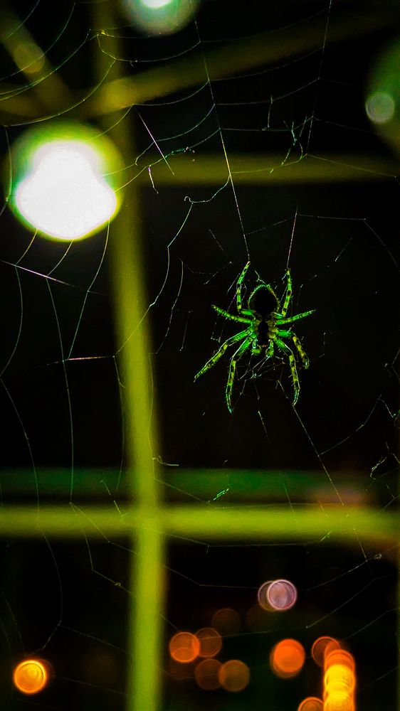 Photograph by Lenar Valeev