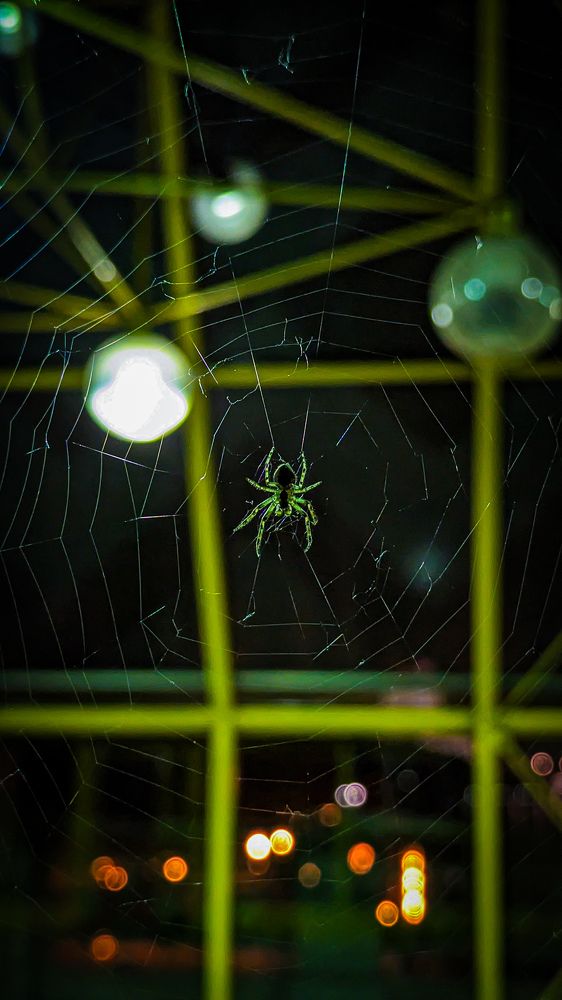 Photograph by Lenar Valeev