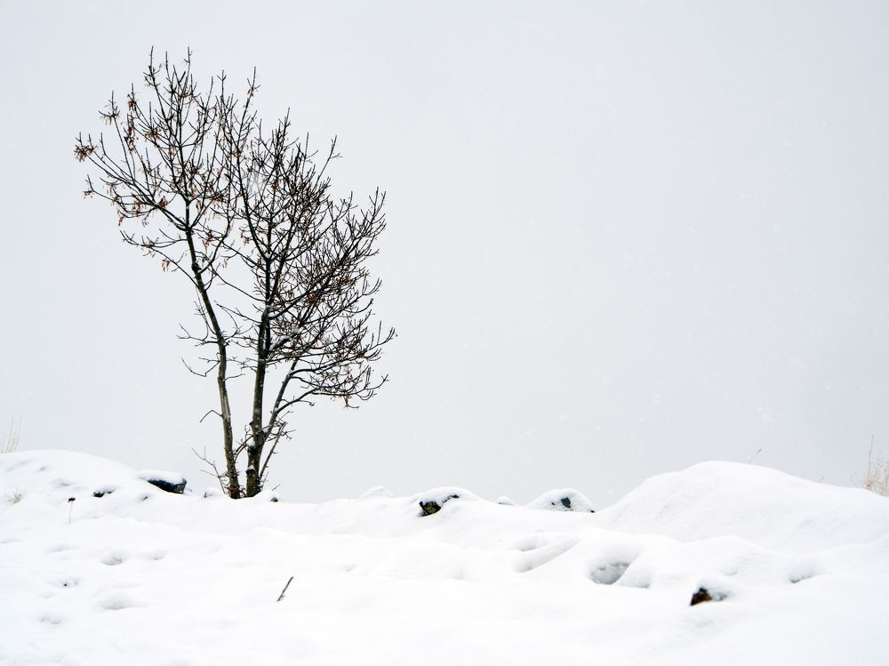 Photograph by Abdolreza Aleagha