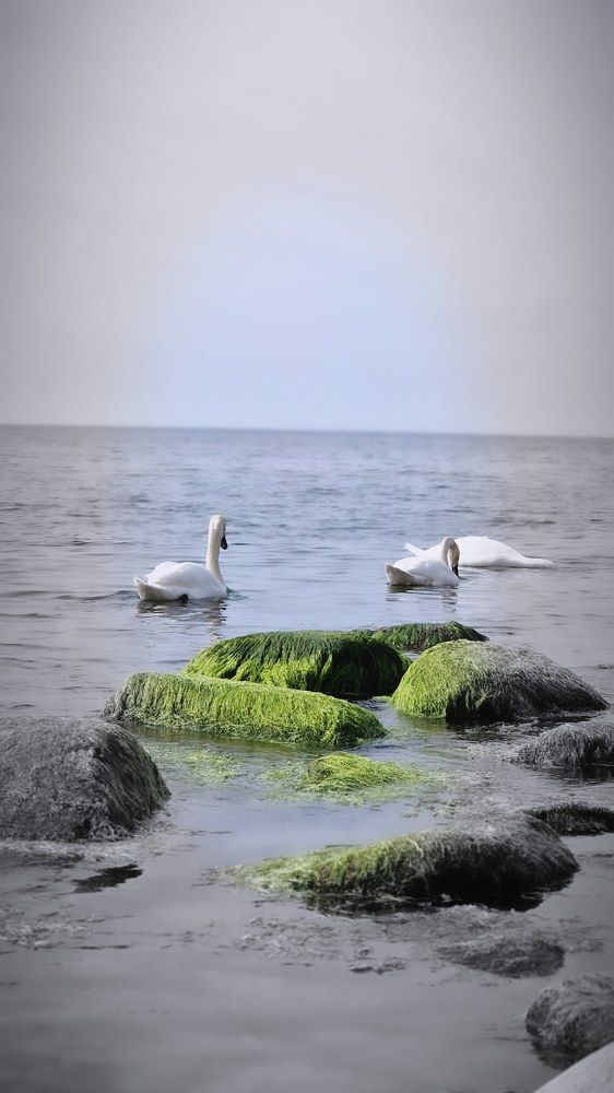 Photograph by Natali