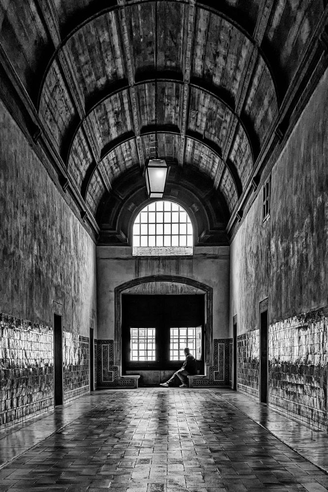 Photograph by Borsan Claudiu Valentin