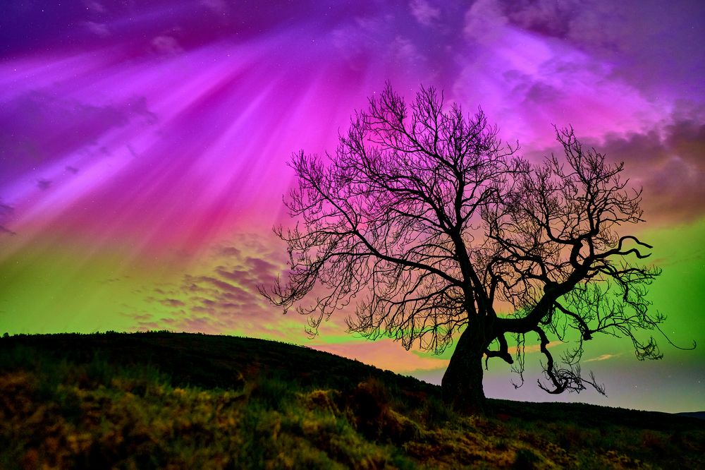 Photograph by john cuthbert