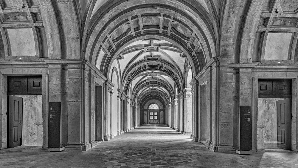 Photograph by Borsan Claudiu Valentin