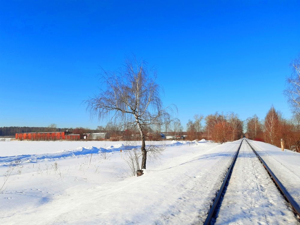 Photograph by Екатерина