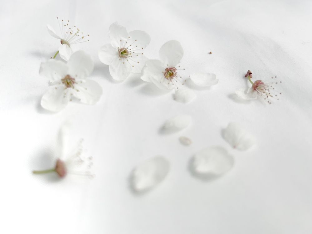 Photograph by Наталья Диденко