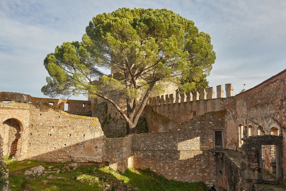 Photograph by Borsan Claudiu Valentin