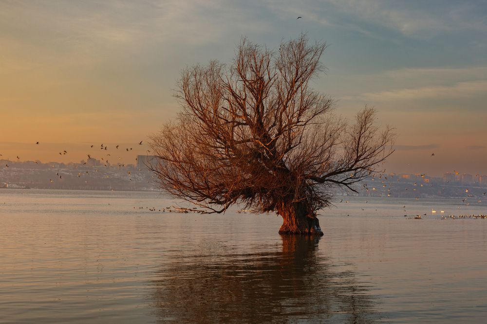 Photograph by Borsan Claudiu Valentin