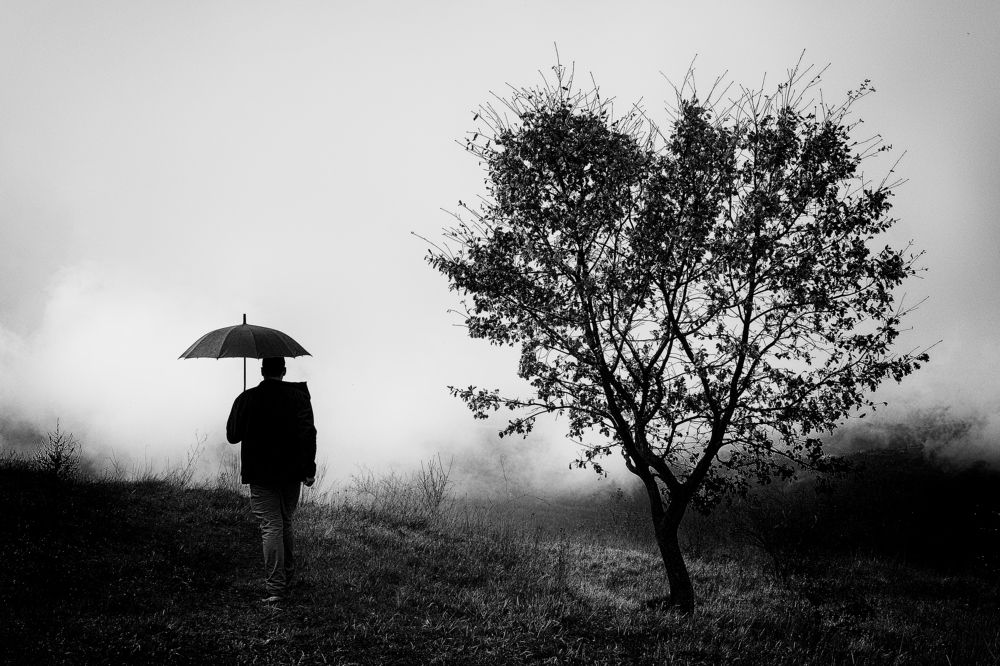 Photograph by Borsan Claudiu Valentin