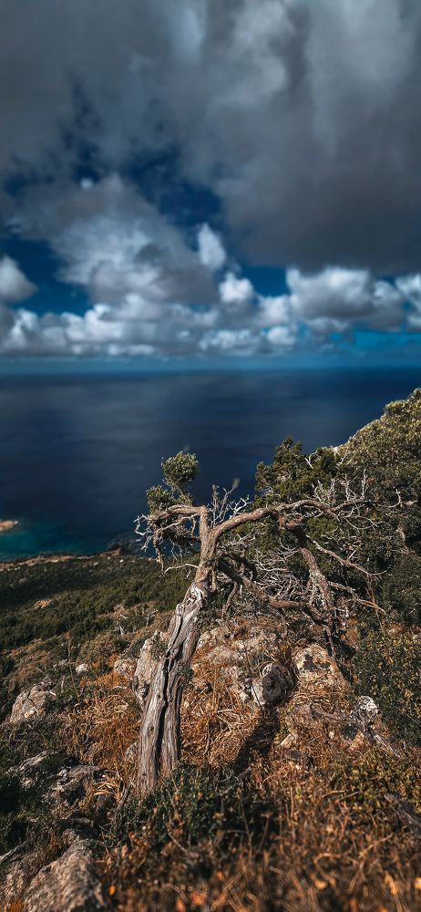 Photograph by Павел Ермилов