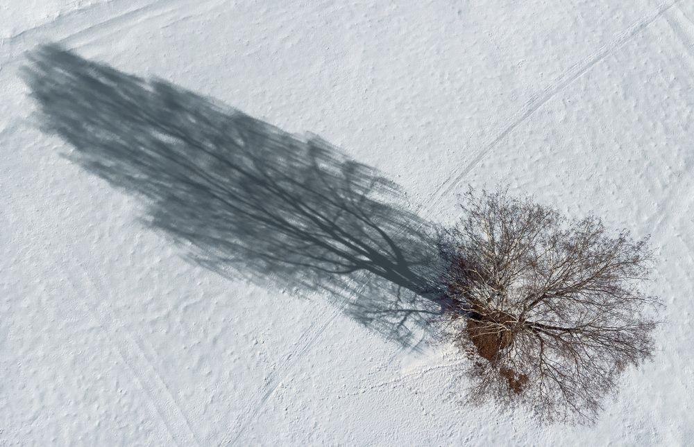 Photograph by Лемехов Иван