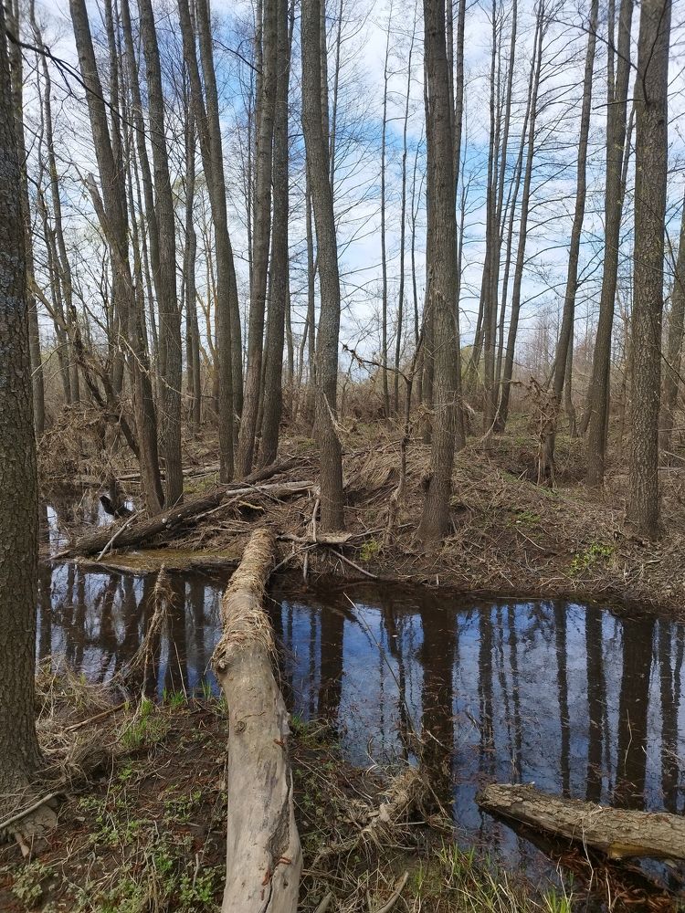 Photograph by Иван Фокин