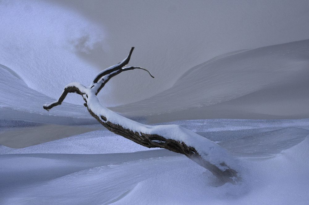 Photograph by T. Bondarenko