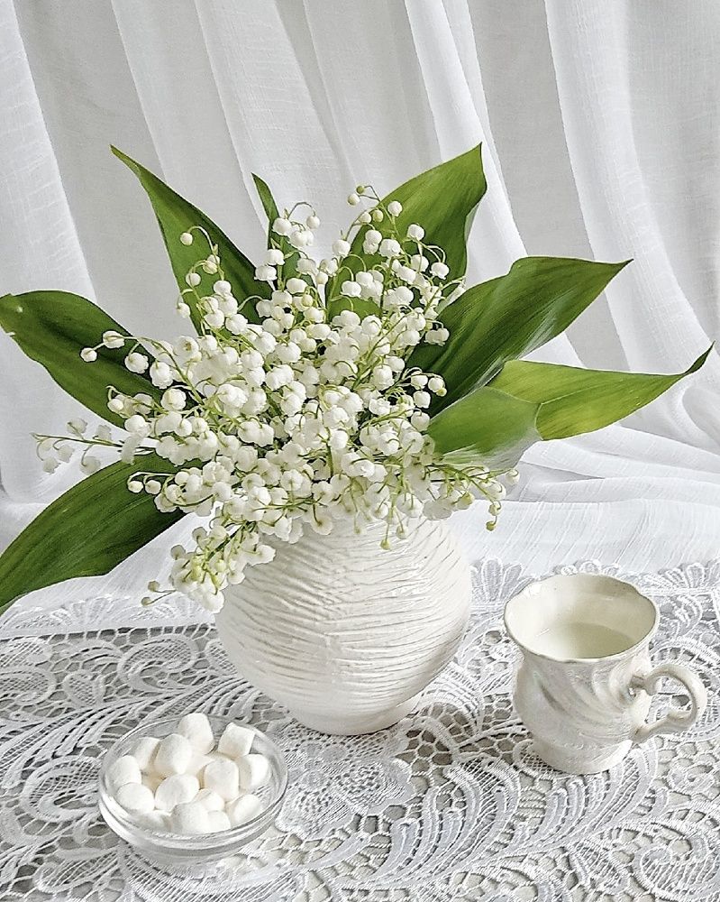 Photograph by Ольга Полякова