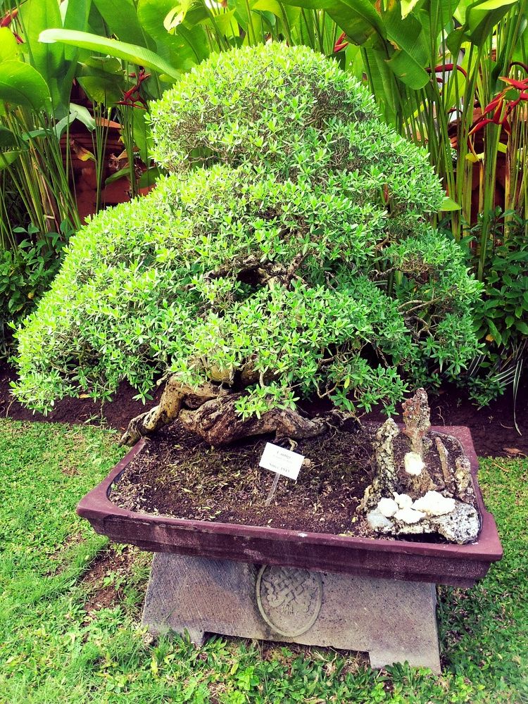 Photograph by Алексей Малеев