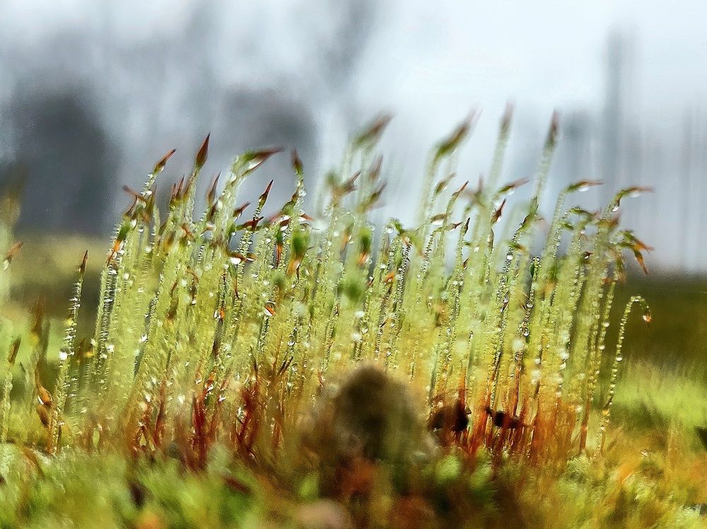 Фотография автора Сергей Можаев