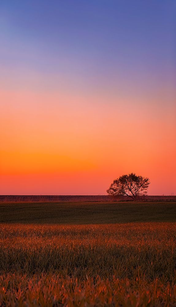 Photograph by Светлана Хамидулина