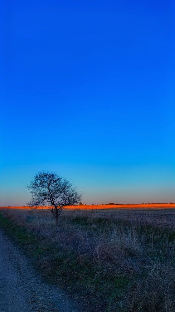 Photograph by Светлана Хамидулина