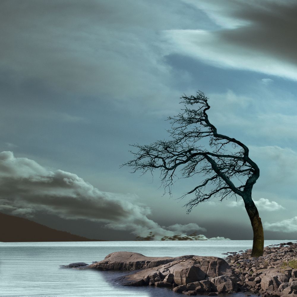 Photograph by T. Bondarenko