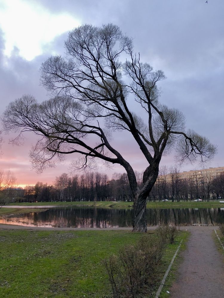 Photograph by Галина Пименова