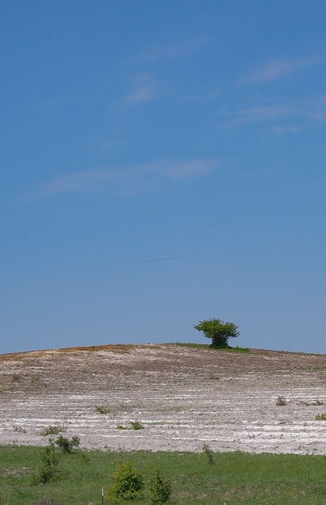 Photograph by Ирина Дегтярева