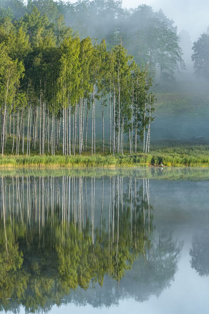 Photograph by Valdis Serzhans