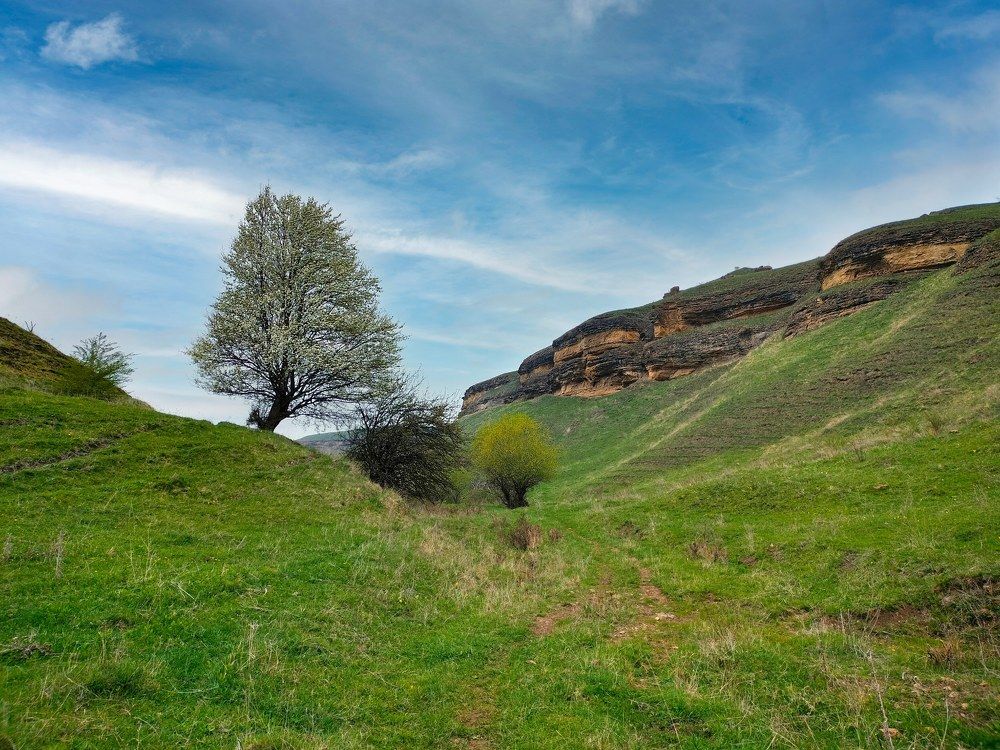 Photograph by Вадим Карпов