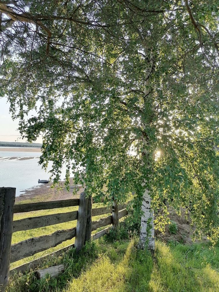 Photograph by Татьяна Бешенкина