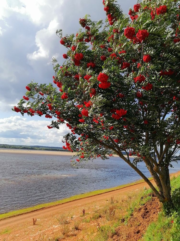 Photograph by Татьяна Бешенкина