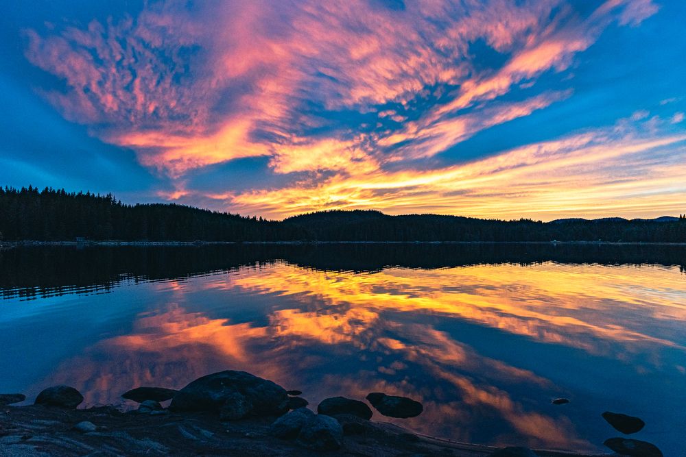 Фотография автора Елена Караилиева