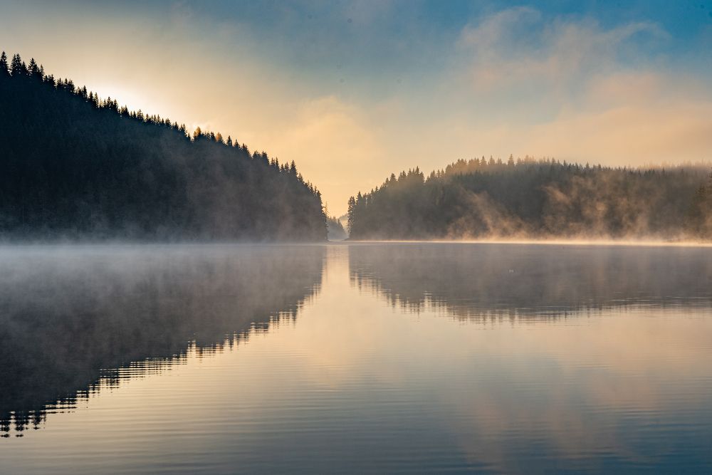 Фотография автора Елена Караилиева