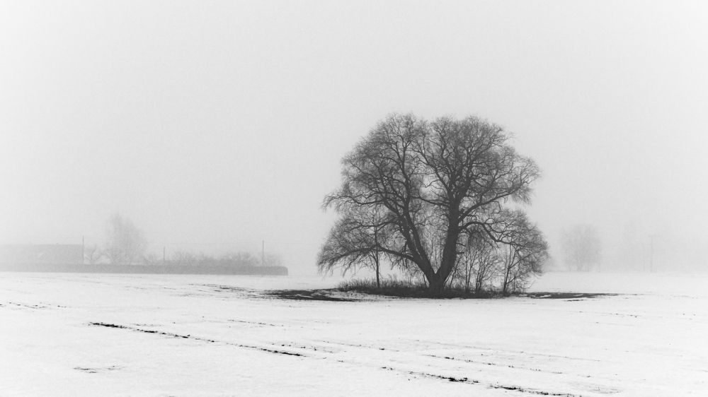 Photograph by Valdis Serzhans