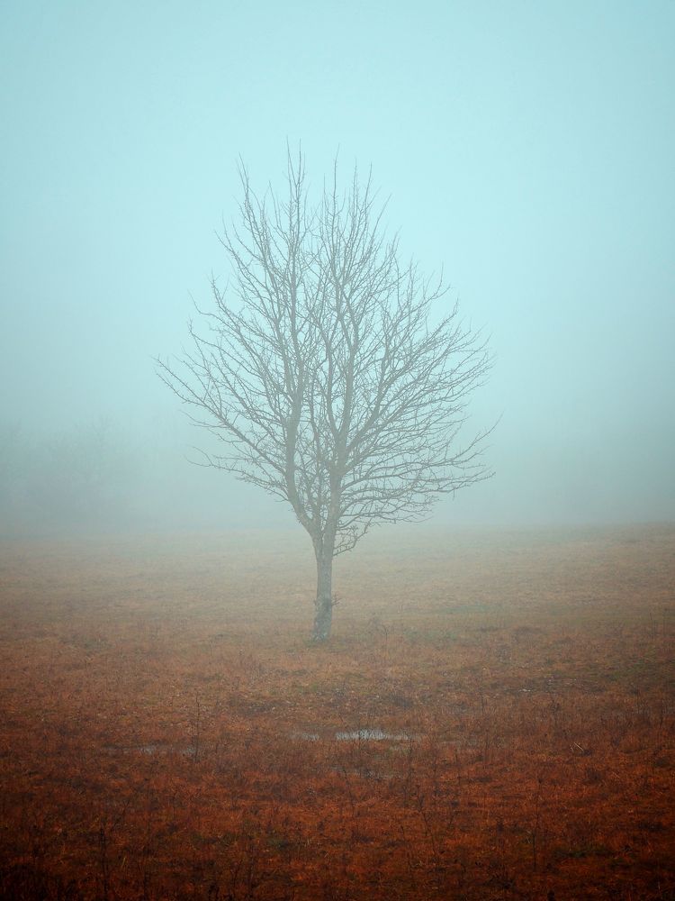 Photograph by Eperjessy Adrian