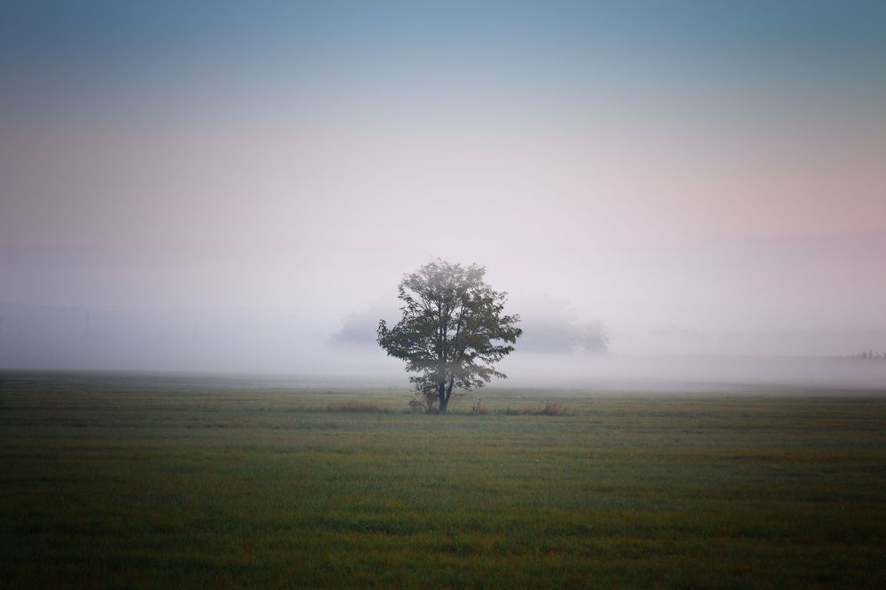 Photograph by Eperjessy Adrian