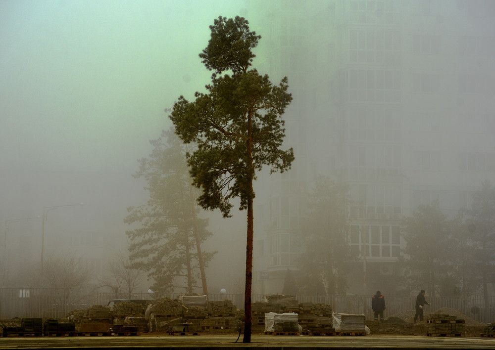 Photograph by Сергей Нестеров