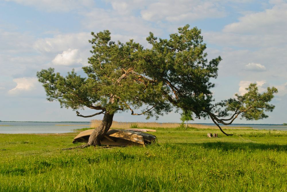 Photograph by Иван