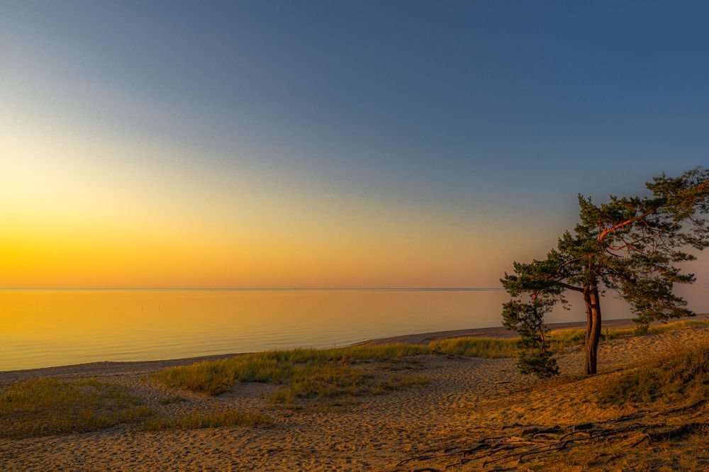 Photograph by Valdis Serzhans