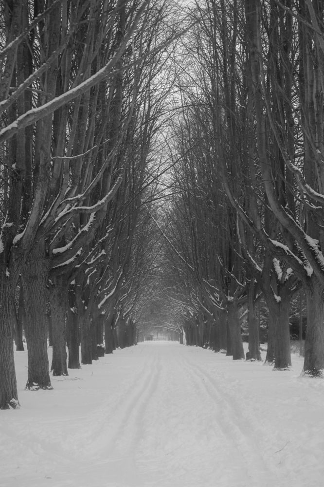 Photograph by Татьяна Чумакова