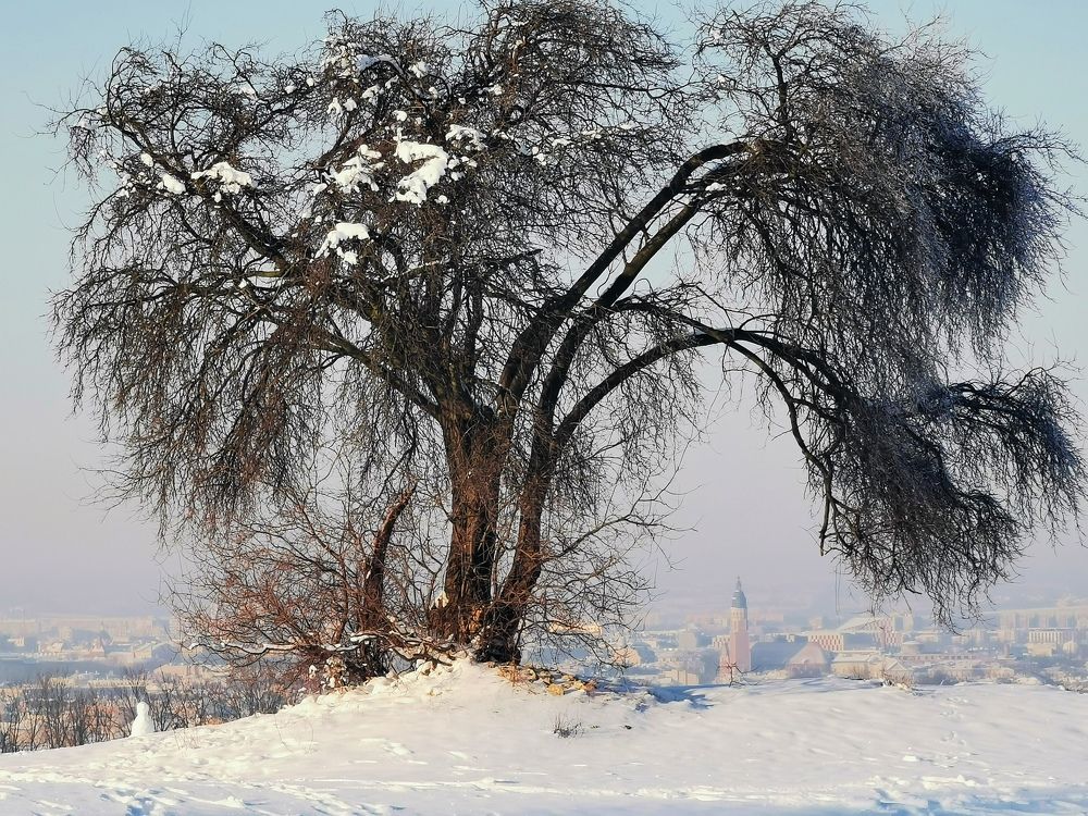 Photograph by Paulina Michałowska