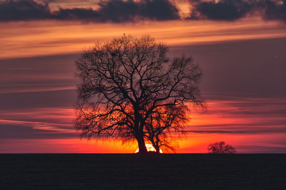 Photograph by Aleksandr Karyagin