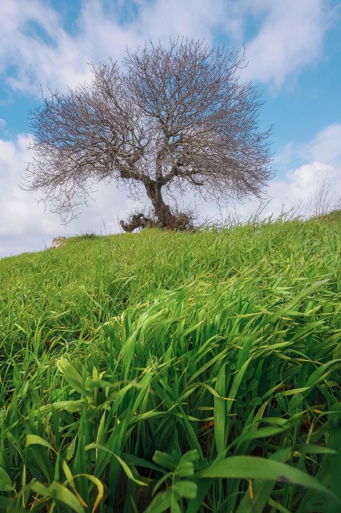 Photograph by Михаил Проскалов