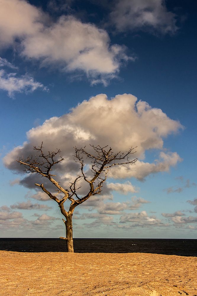 Photograph by Jorge Bagnuoli