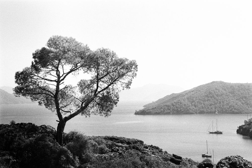 Photograph by Владимир Сакунов