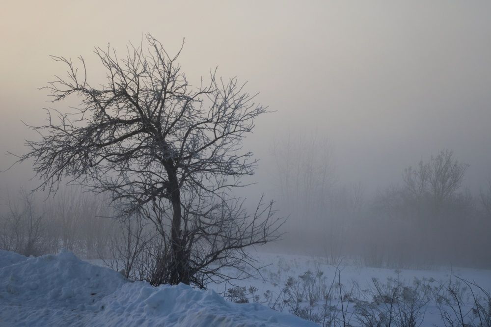 Photograph by Инна Карасева