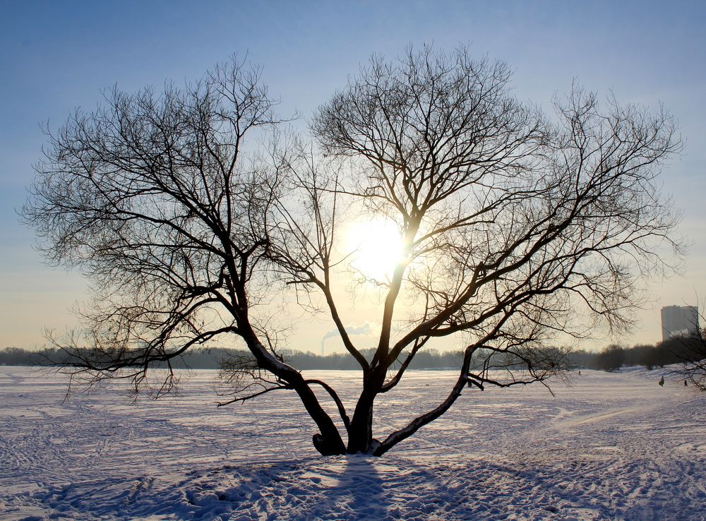 Photograph by Жанна Нечаева